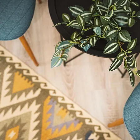 Moriczka Διαμέρισμα