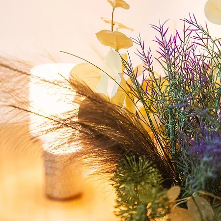 Moriczka Διαμέρισμα *